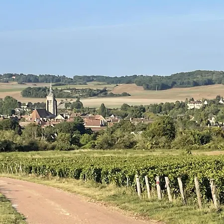 Semesterbostad Le De Tatanne Villenauxe