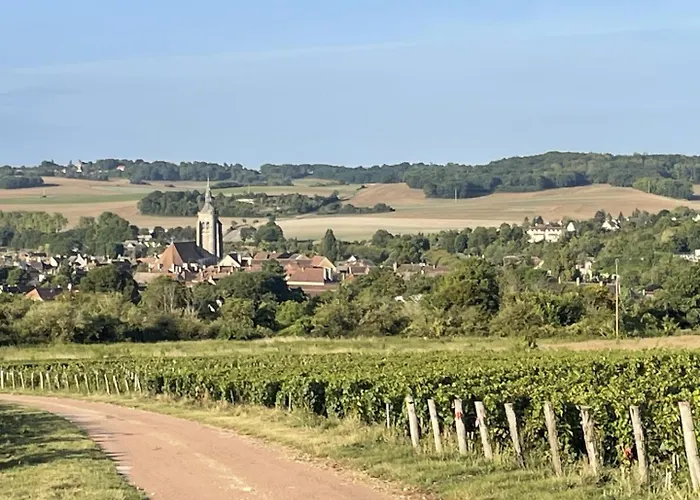 Le De Tatanne * Villenauxe